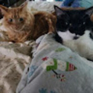 Meet your Posher, Lexi